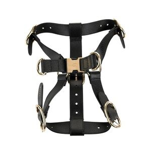 Black Leather Harness with Gold Accents